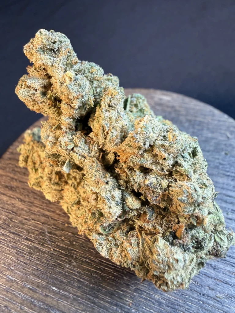 N-9 Green Velvet